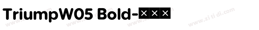 TriumpW05 Bold字体转换
